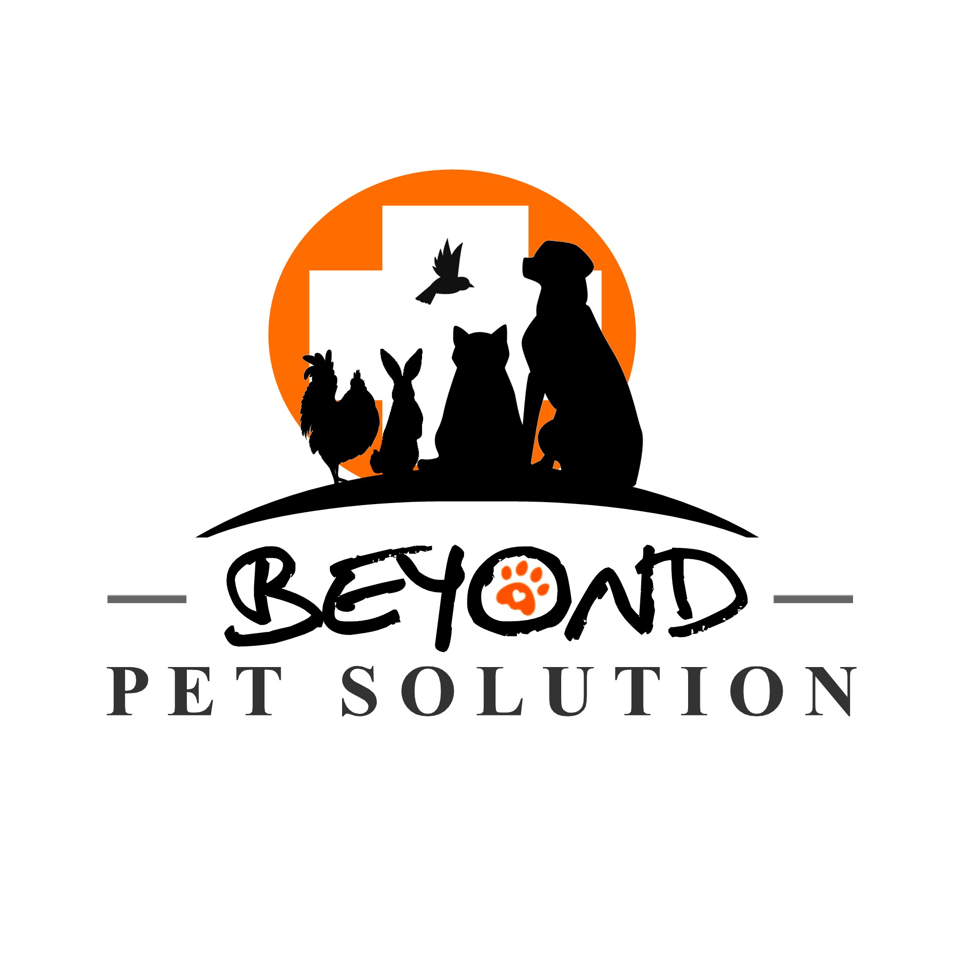 Beyond Pet Solution